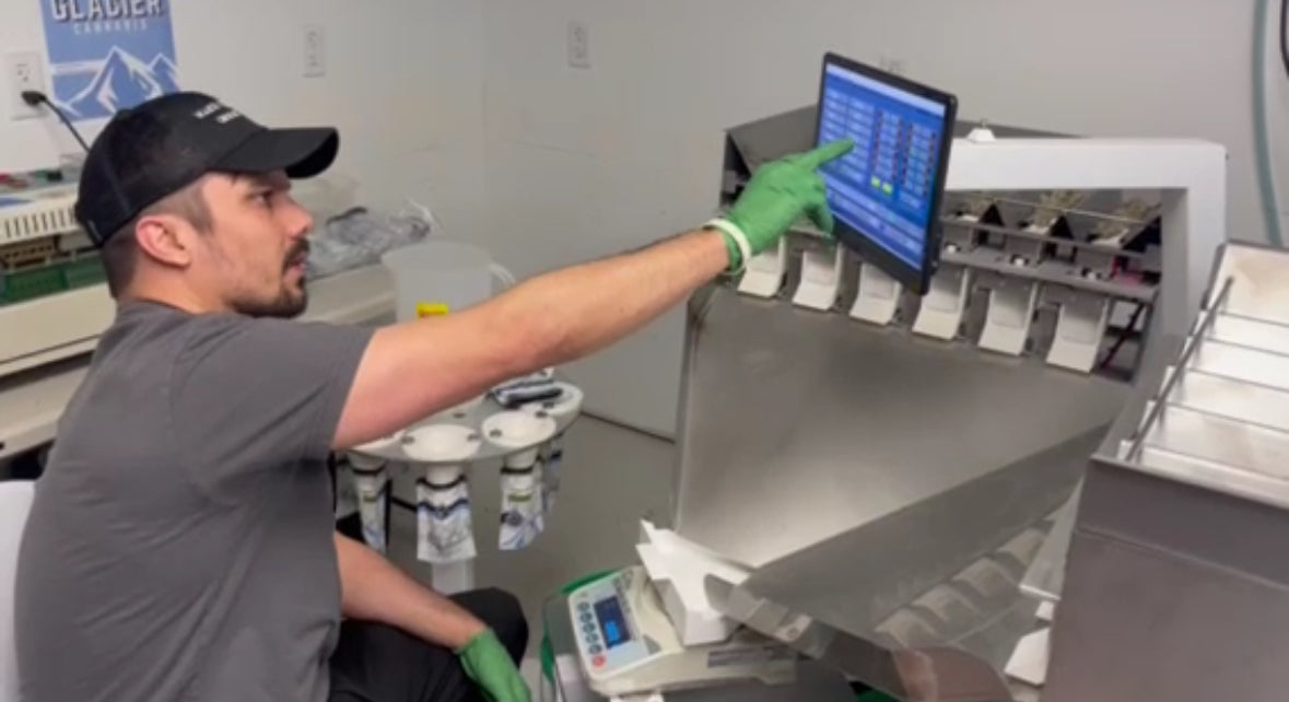 Groen Automation Gram Master – Automated Cannabis Weighing & Packing System