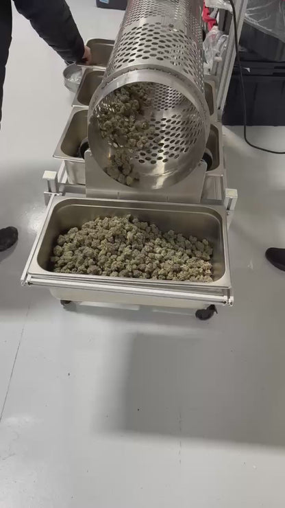 Groen Automation Drum Sorter DS100 in action – Demonstrating multi-stage cannabis bud sorting by size and weight, gently separating A, B, C grade flowers and trim with precision rotation. Ideal for craft growers seeking uniform grams, trichome preservation, and reduced labor.